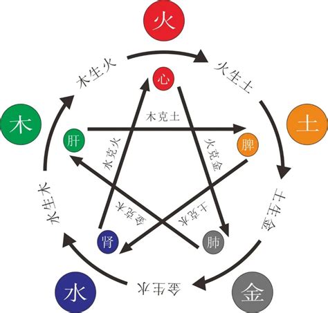 五行属木缺什么|八字木多缺水(五行属木的人命里缺什么)